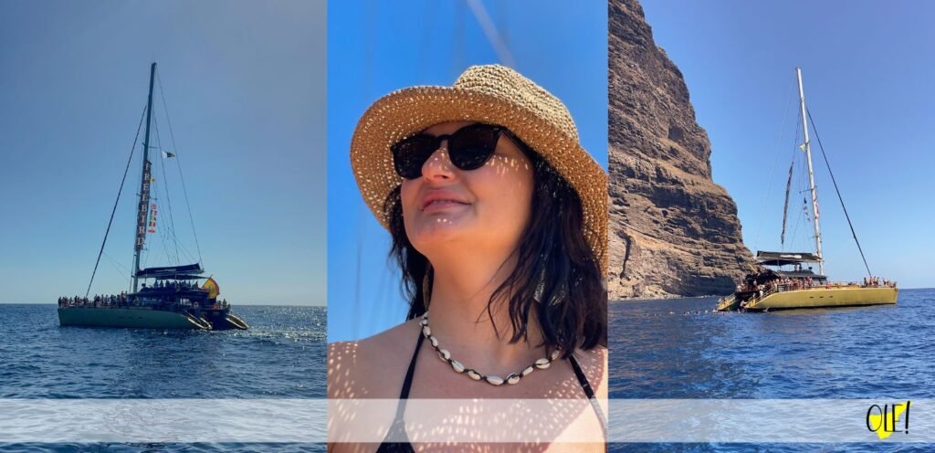 dolphin trip tenerife