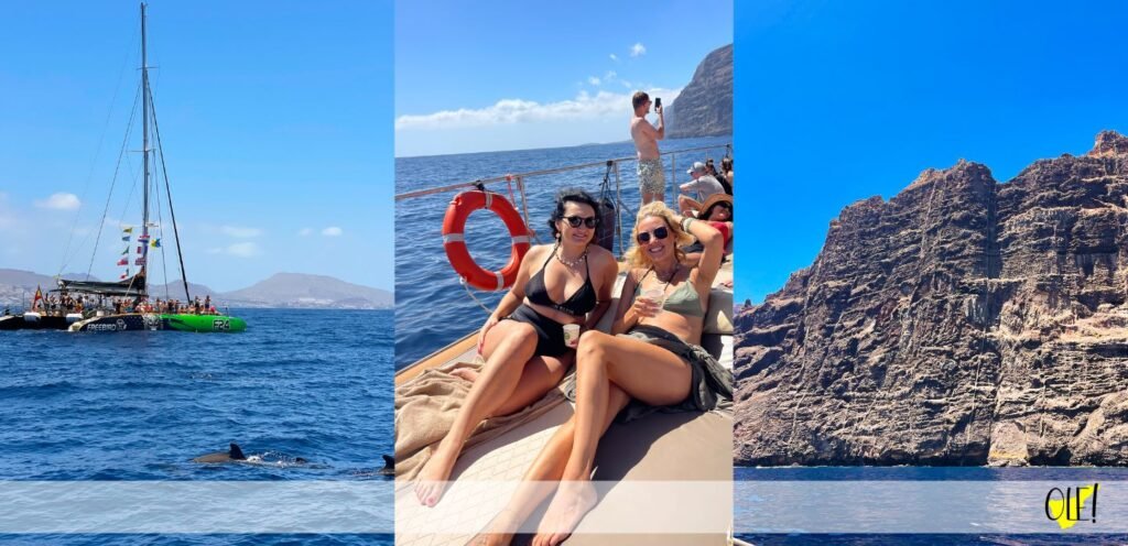 Catamaran cruise with dolphin watching in tenerife