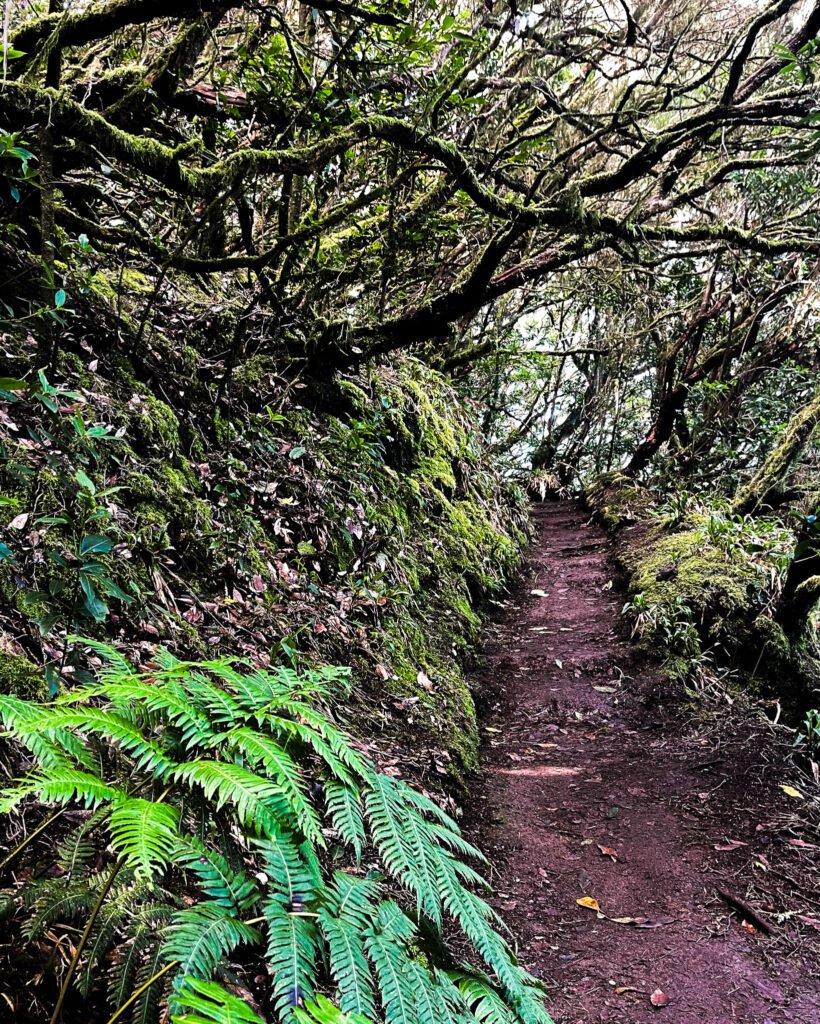 anaga mountain path