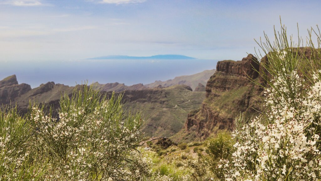 mountains teno tenerife weather may