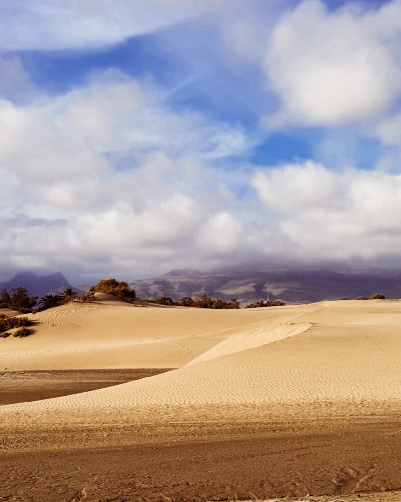 wydmy maspalomas