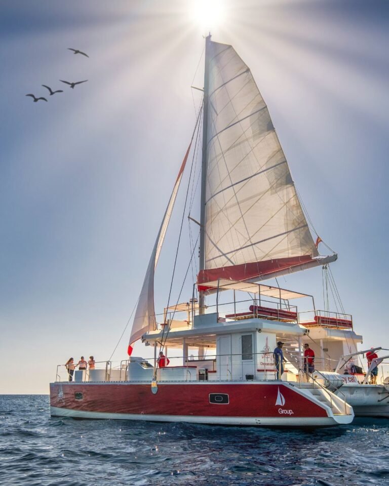 Gran Canaria catamaran cruise