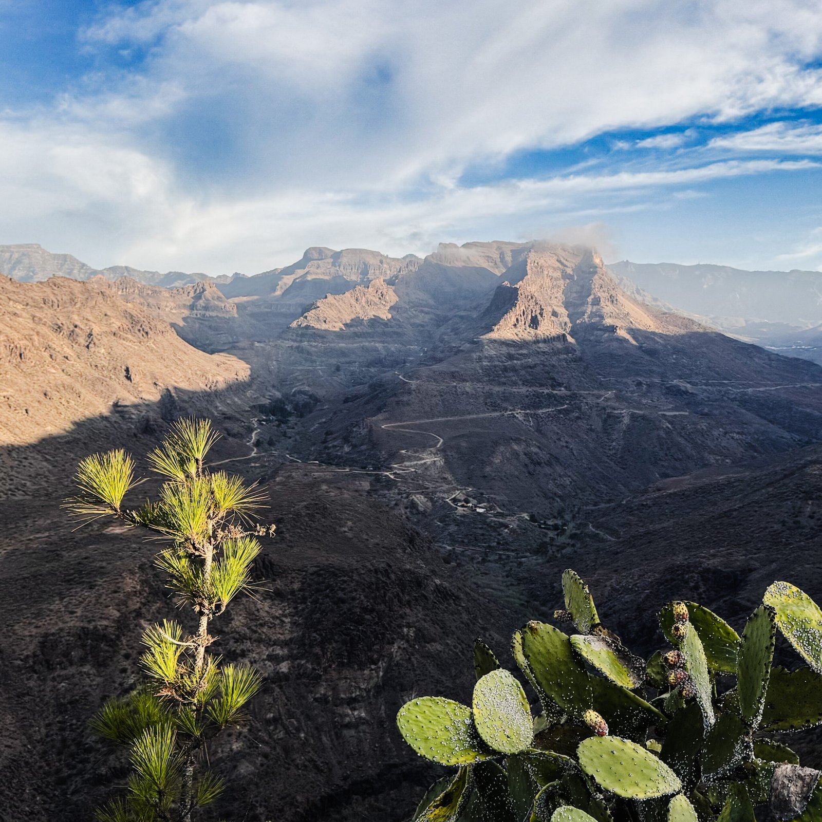 gran canaria widok na góry