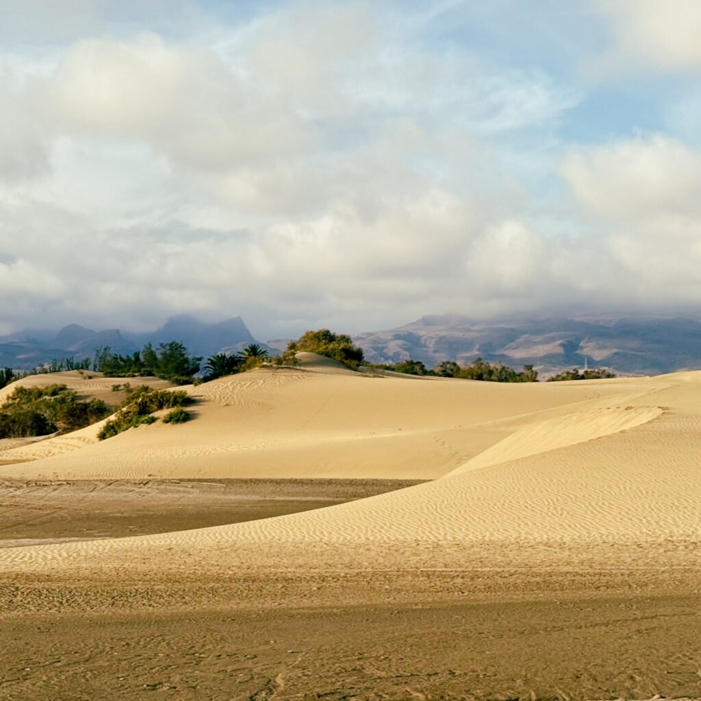 dunes of maspalomas Gran Canaria