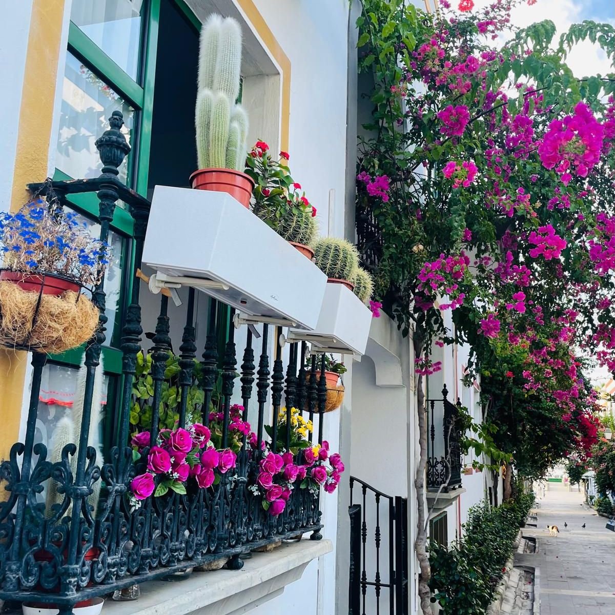 puerto mogan wycieczka objazdowa