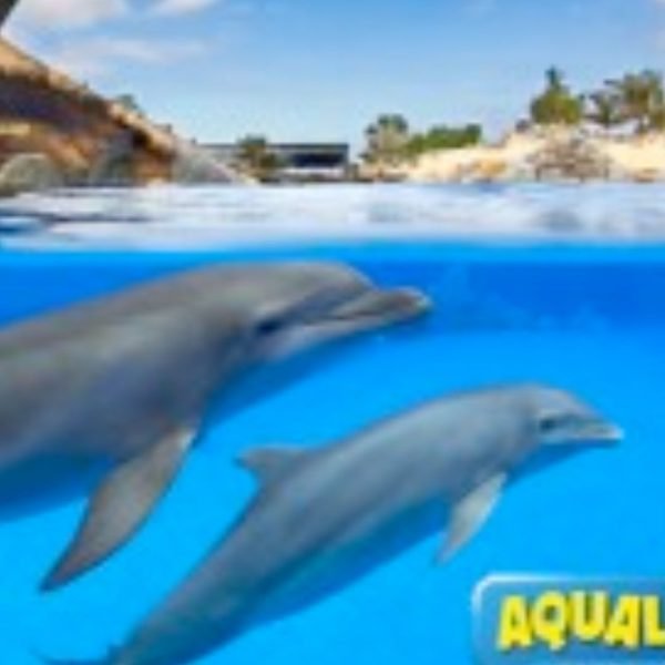 Fun Trip - Aqualand + Jungle Park