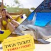 Twin ticket tenerife
