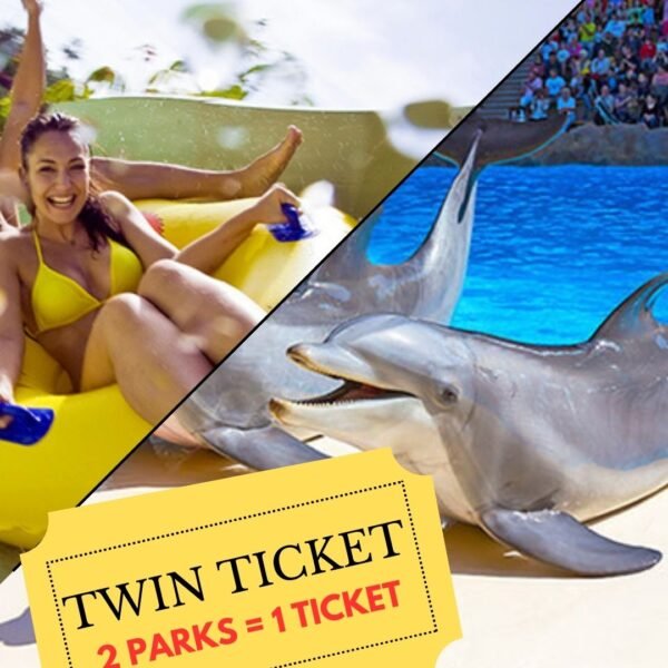 Twin ticket tenerife