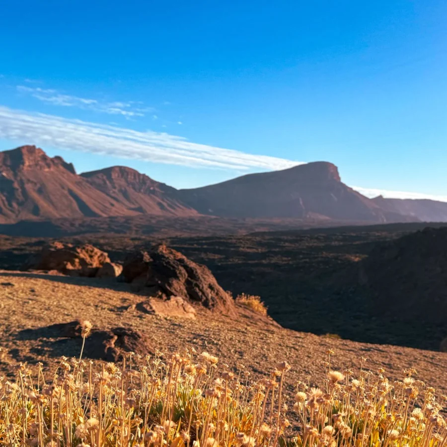 Wycieczki na Teide
