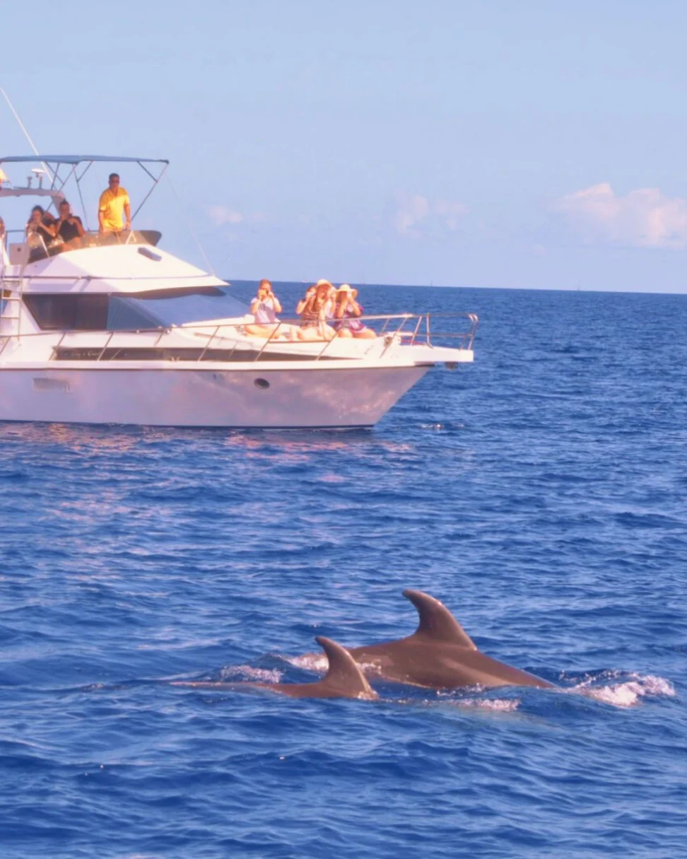 Private yacht cruise, max. 12 people