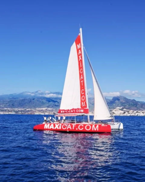 Rejs katamaranem na delfiny