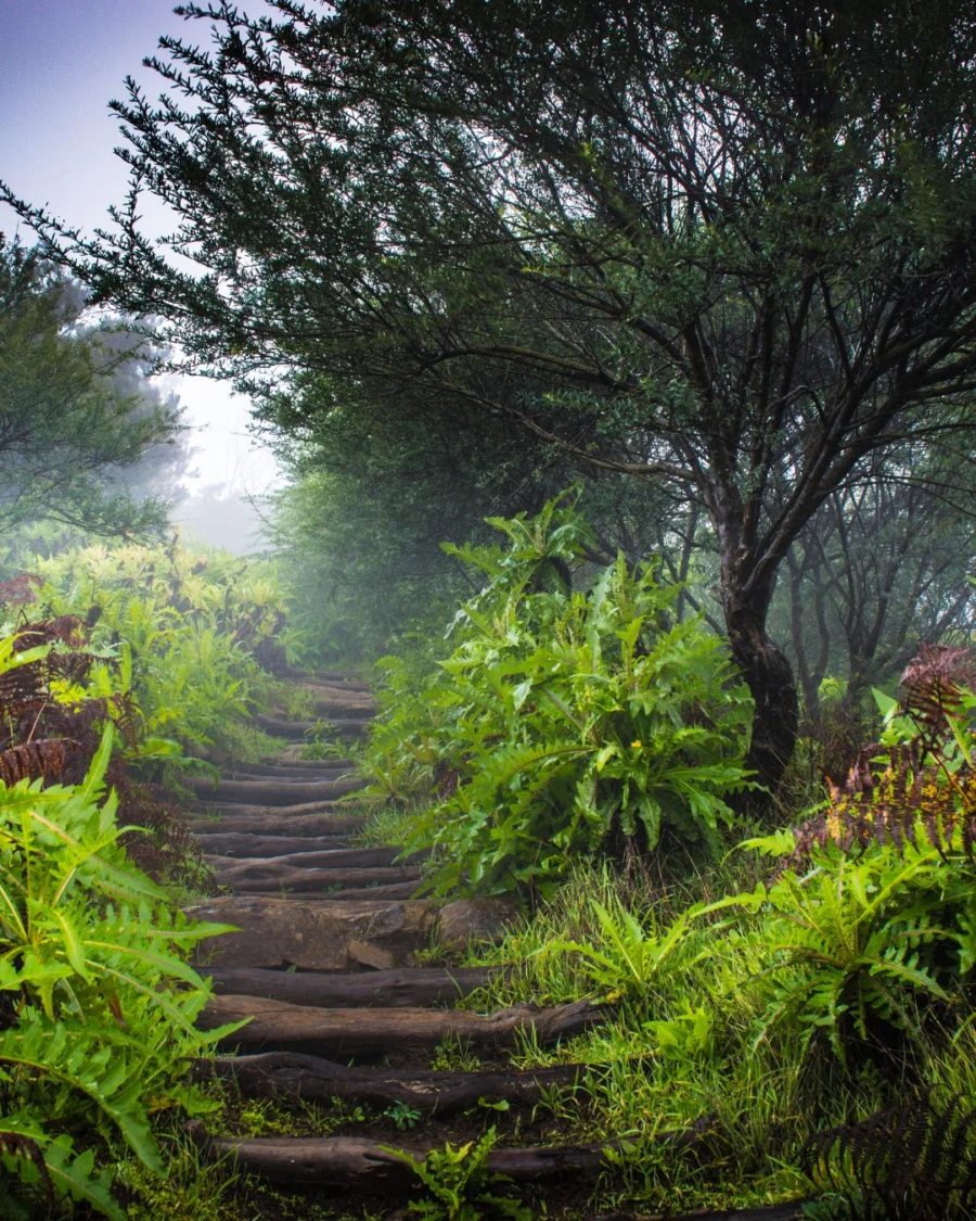 La Gomera