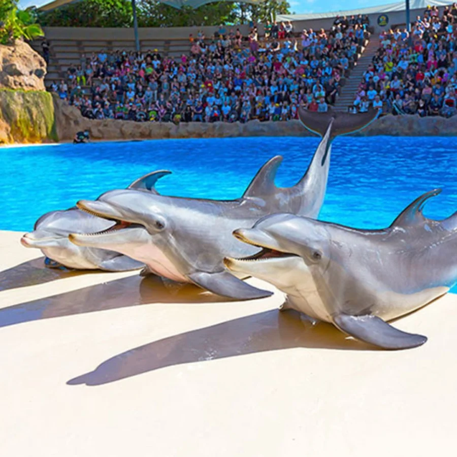 Loro park