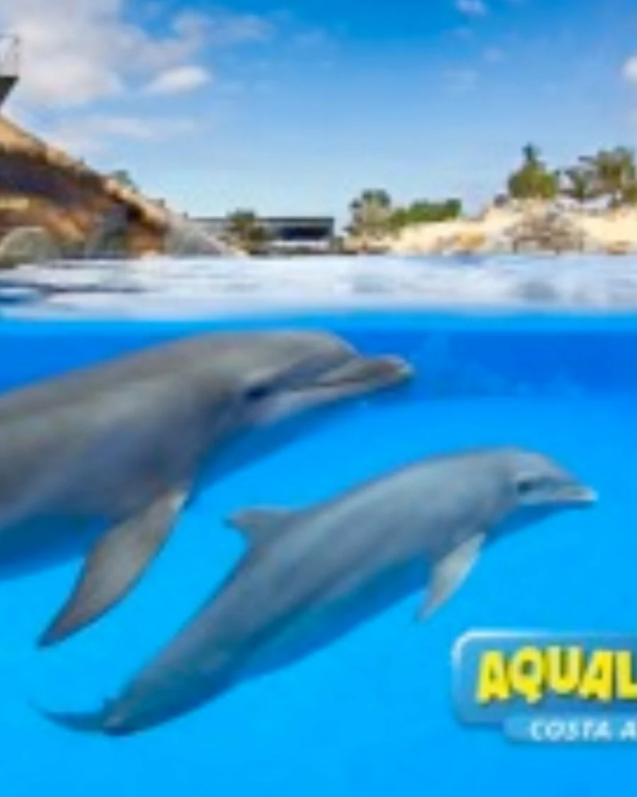 Aqualand Teneryfa