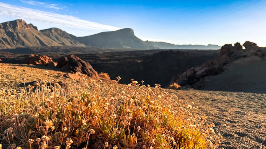 park narodowy teide