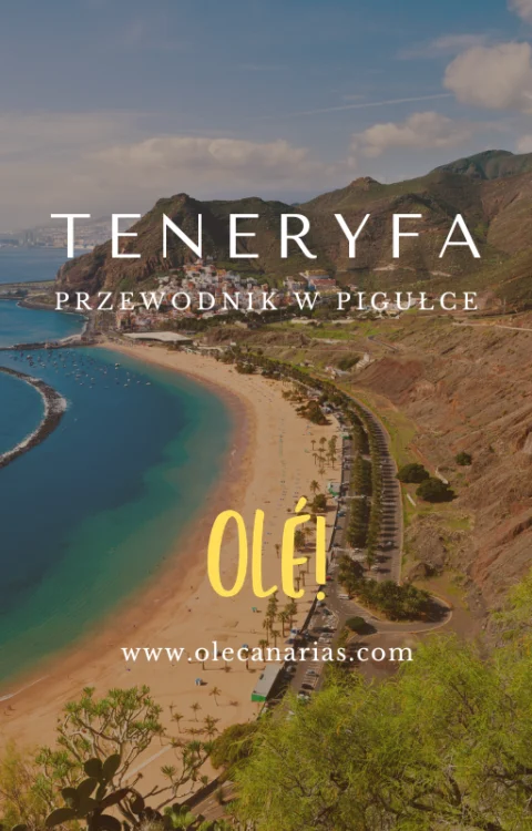 ebook teneryfa