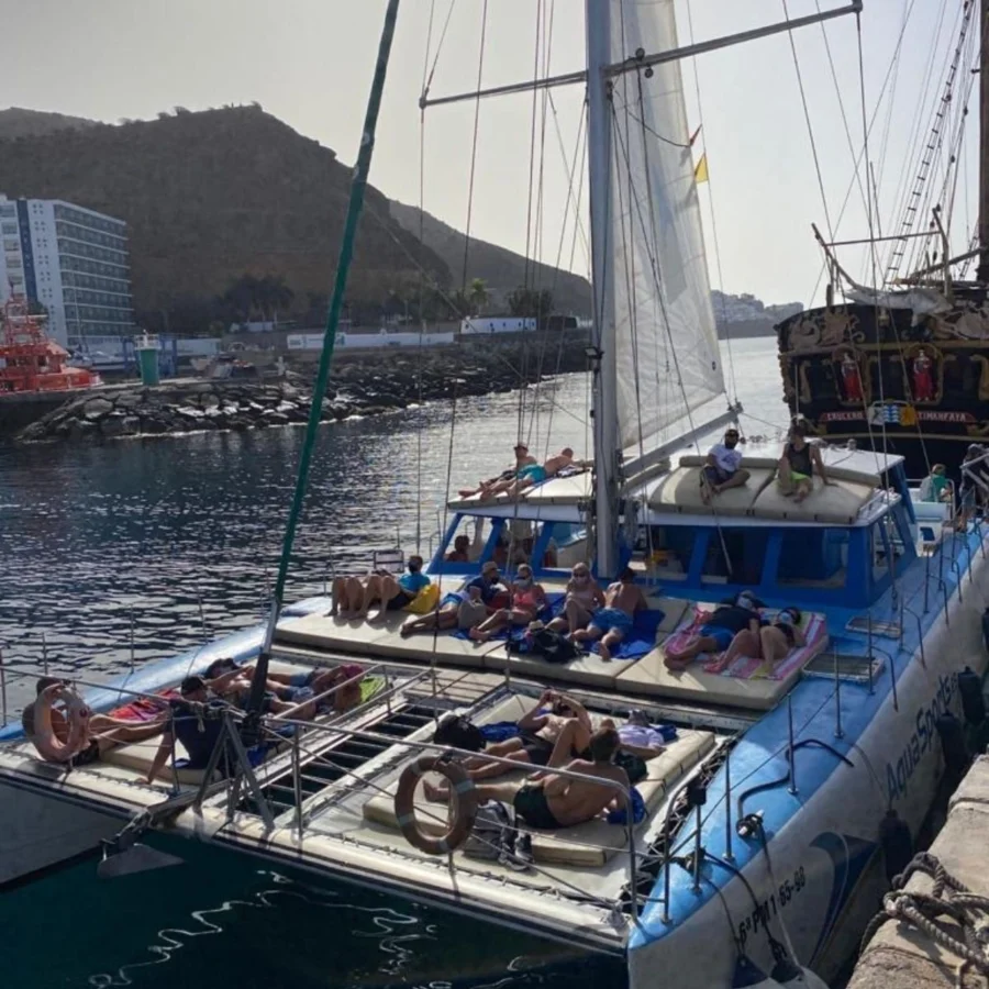 Rejs katamaranem na delfiny Gran Canaria