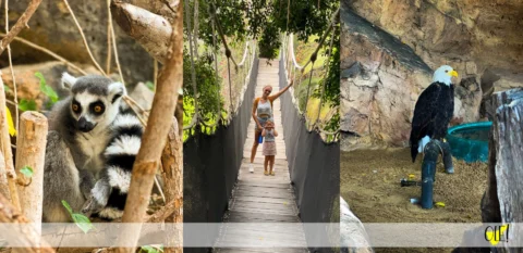 Jungle park Teneryfa