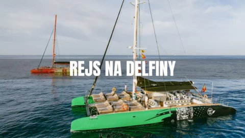 Rejs na delfiny Teneryfa