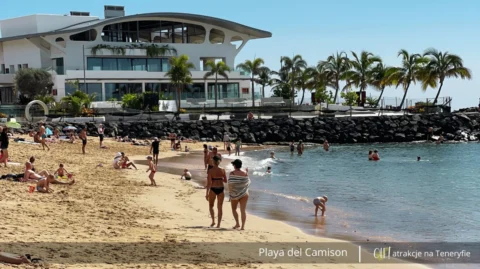 Playa del camison Teneryfa